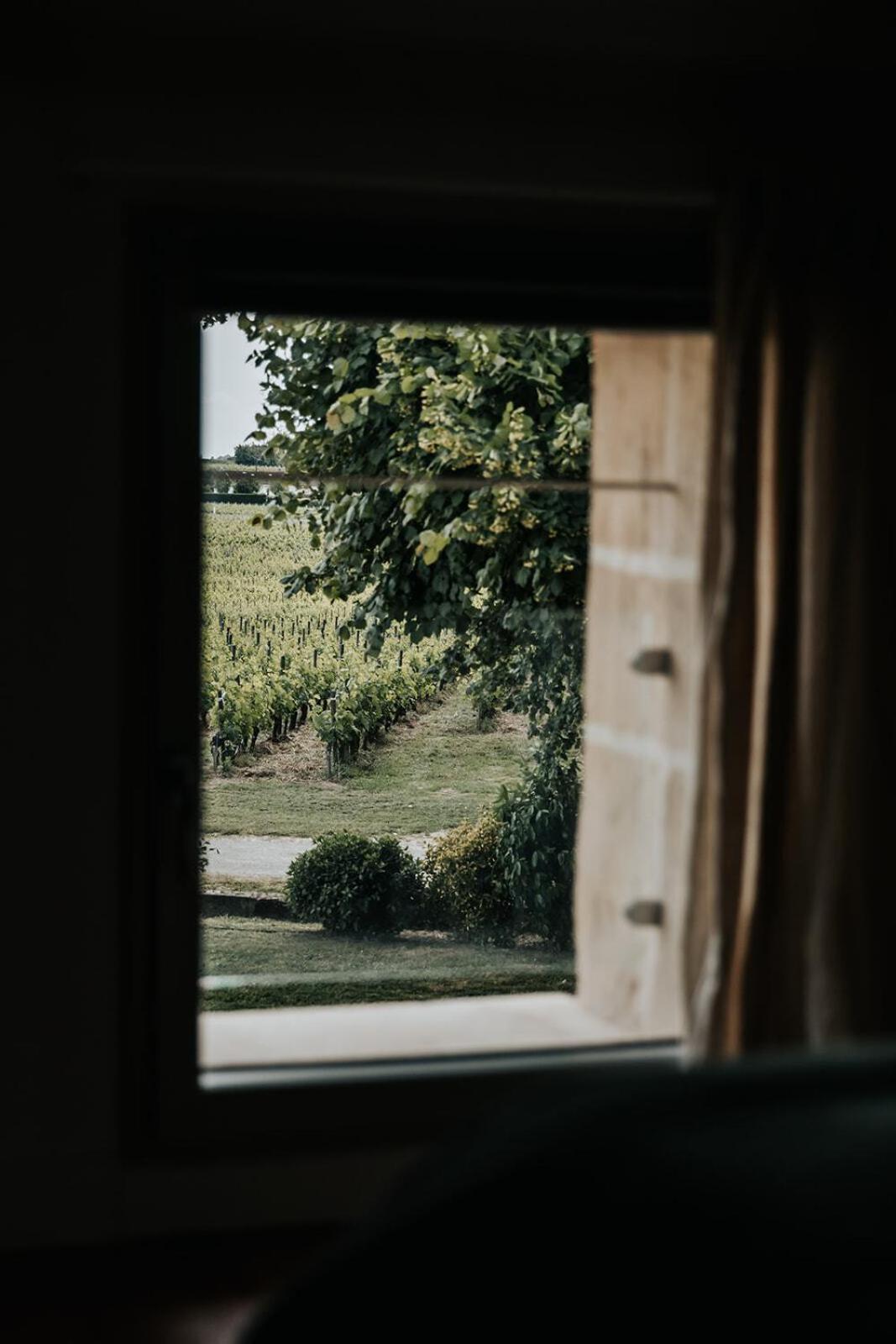 Chateau La Grande Clotte Lussac  Номер фото